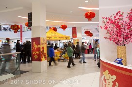 2017 Chinese New Year Image 800x533
