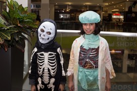 2017 Halloween 2227