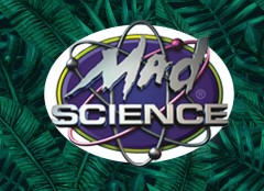 promo-image